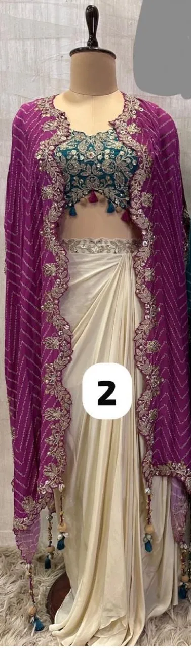 Embroidered Saree with Cape view 2