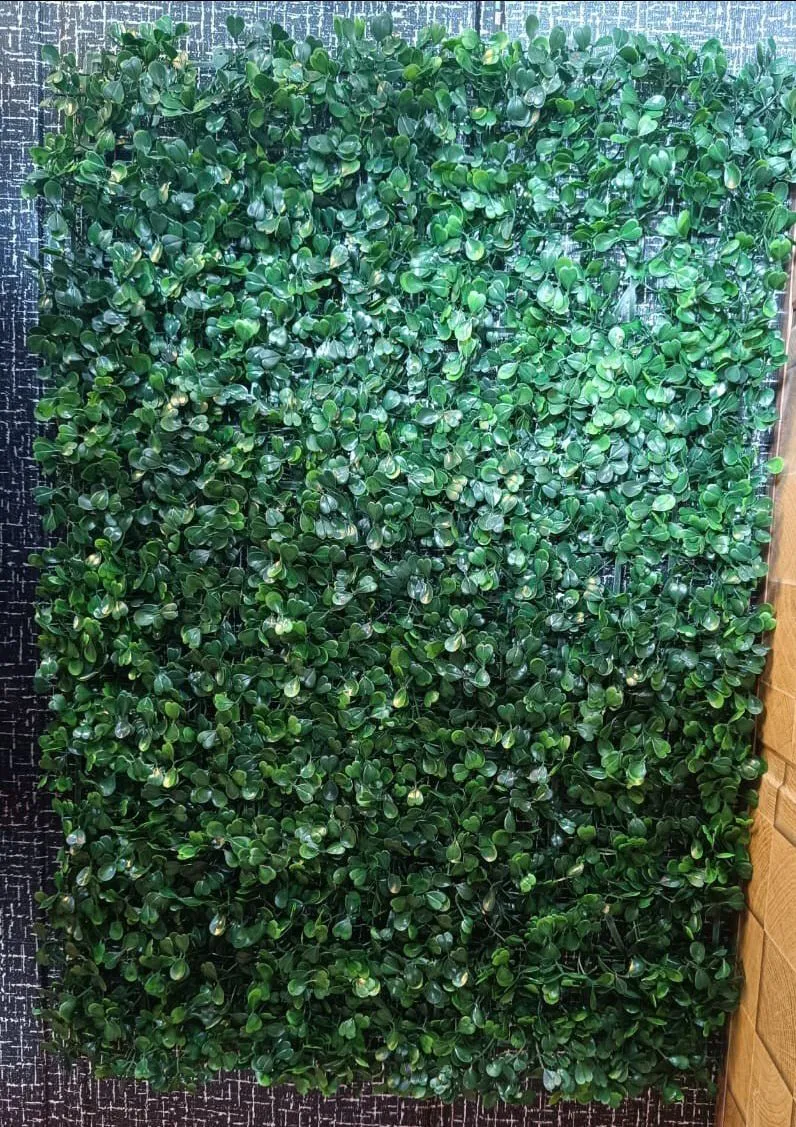 Chana Patti Vertical Green Garden view 5