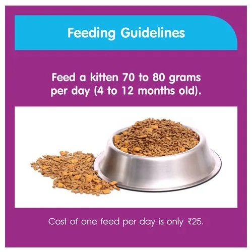 Whiskas Dry Cat Food For Mother & Kitten - Junior Ocean Fish 1.1 Kg view 5