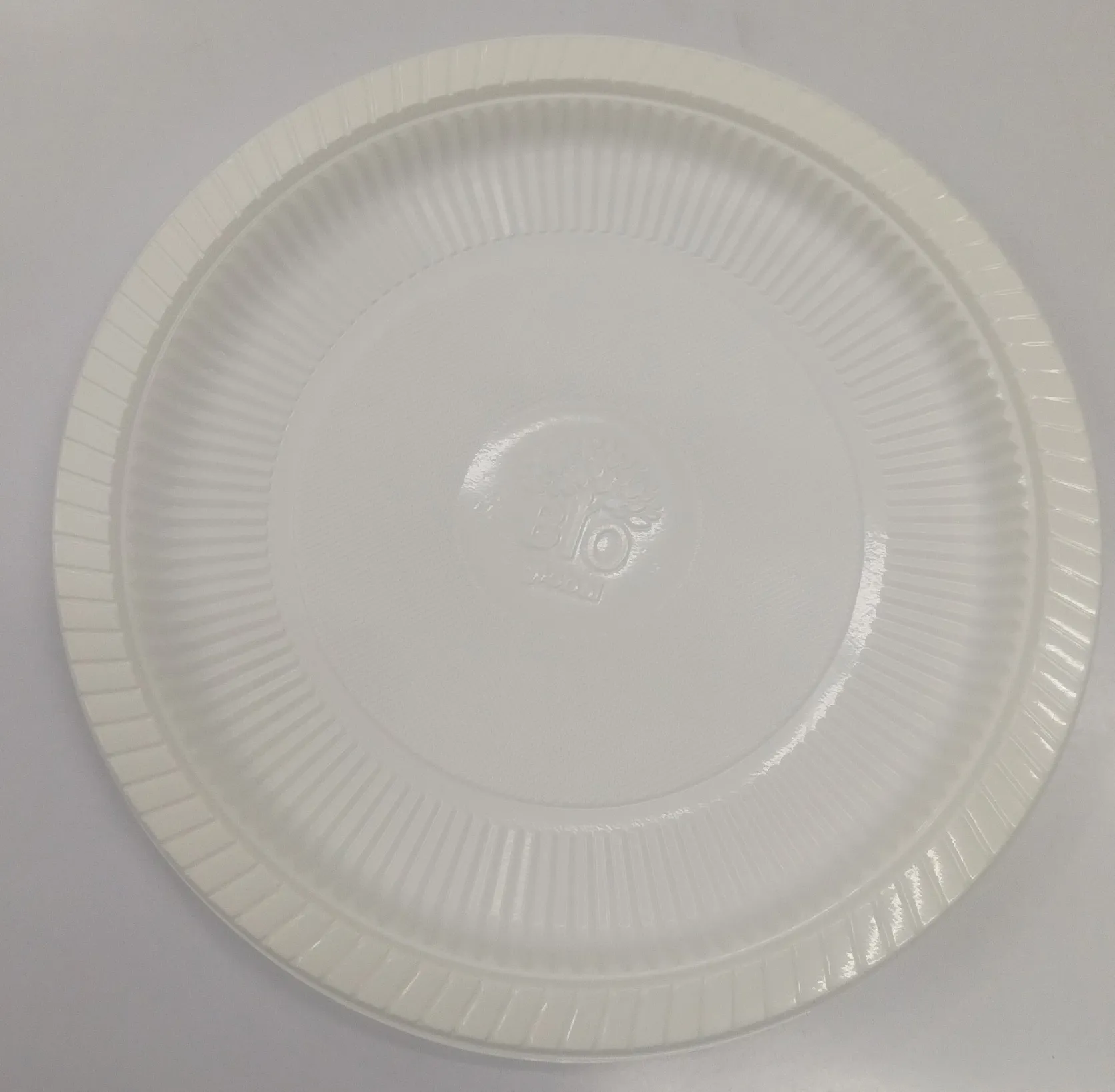 Bio Disposable Plate 10 Inches view 2