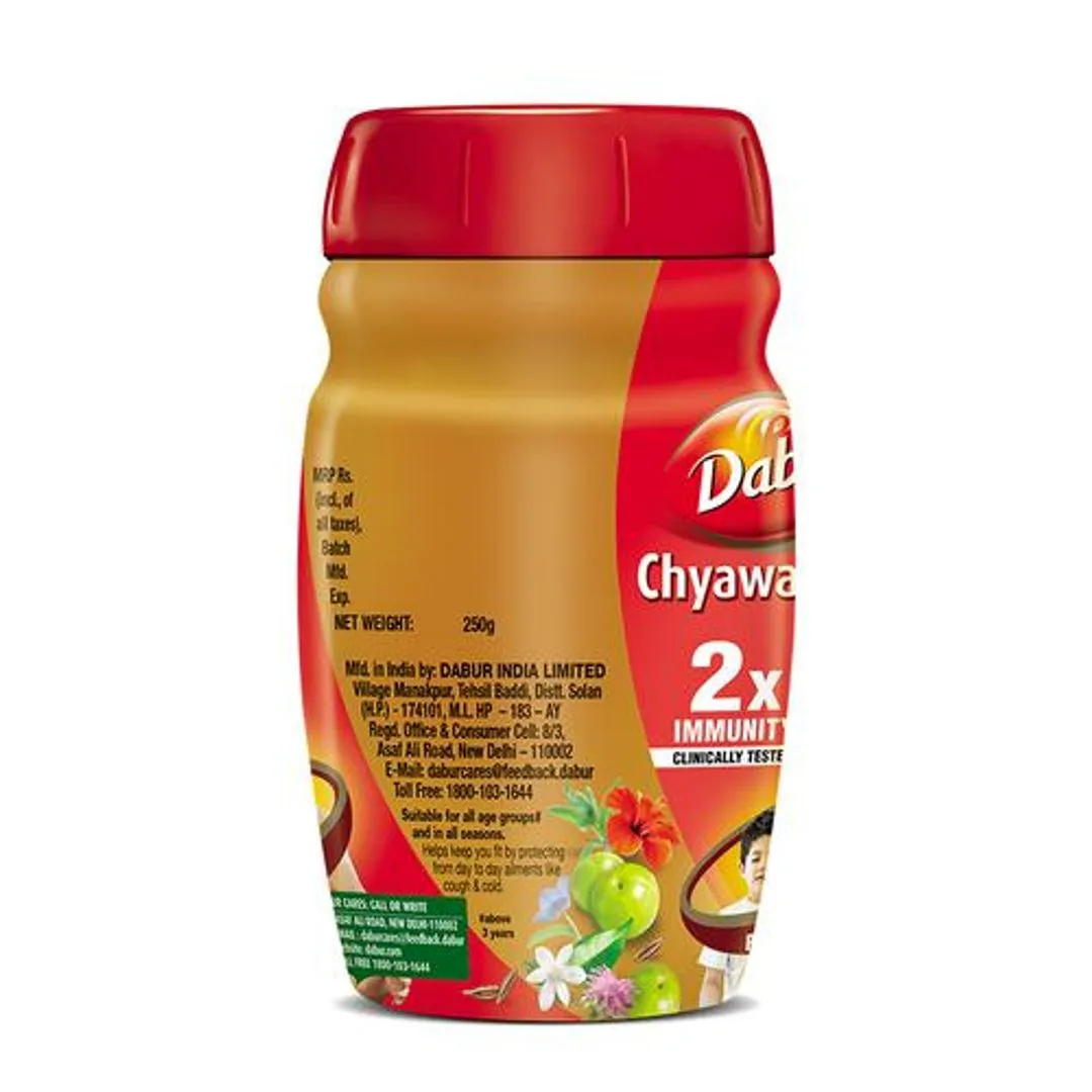 Dabur Chyawanprash - 2X Immunity 250 g view 2