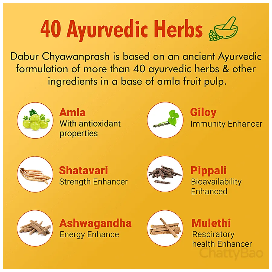 Dabur Chyawanprash - 3X Immunity 500 g view 3
