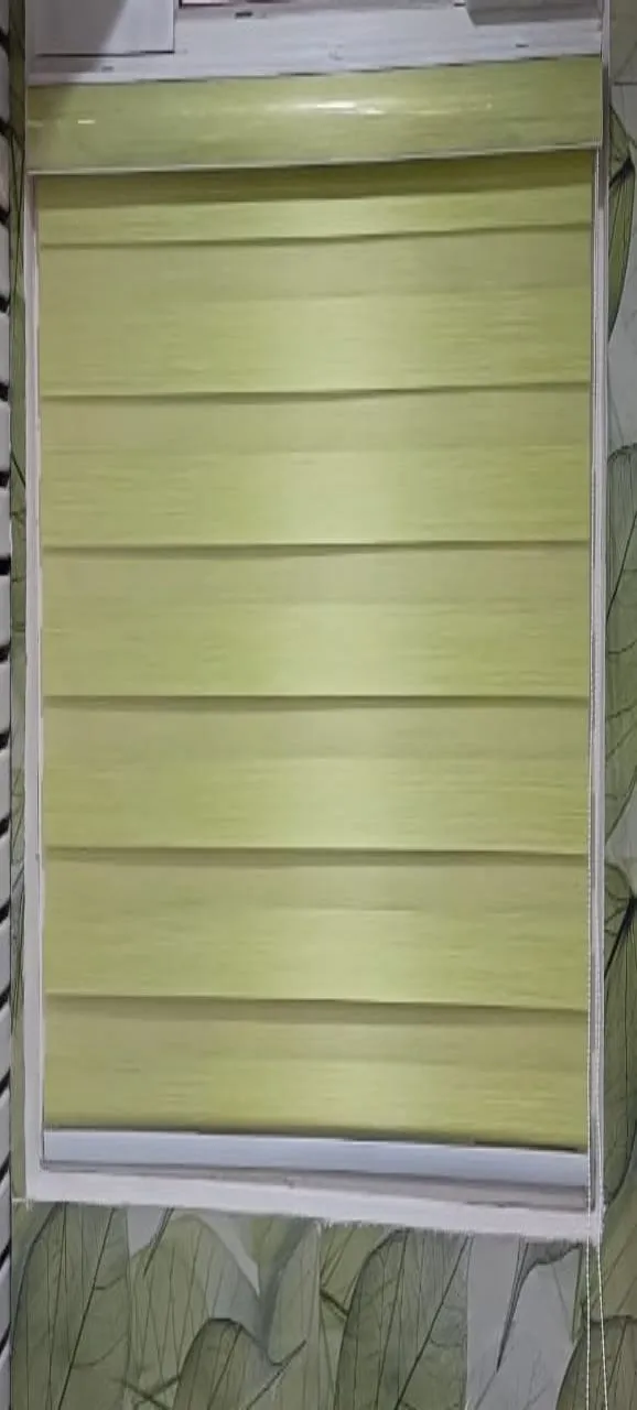 Green Window Blinds view 2