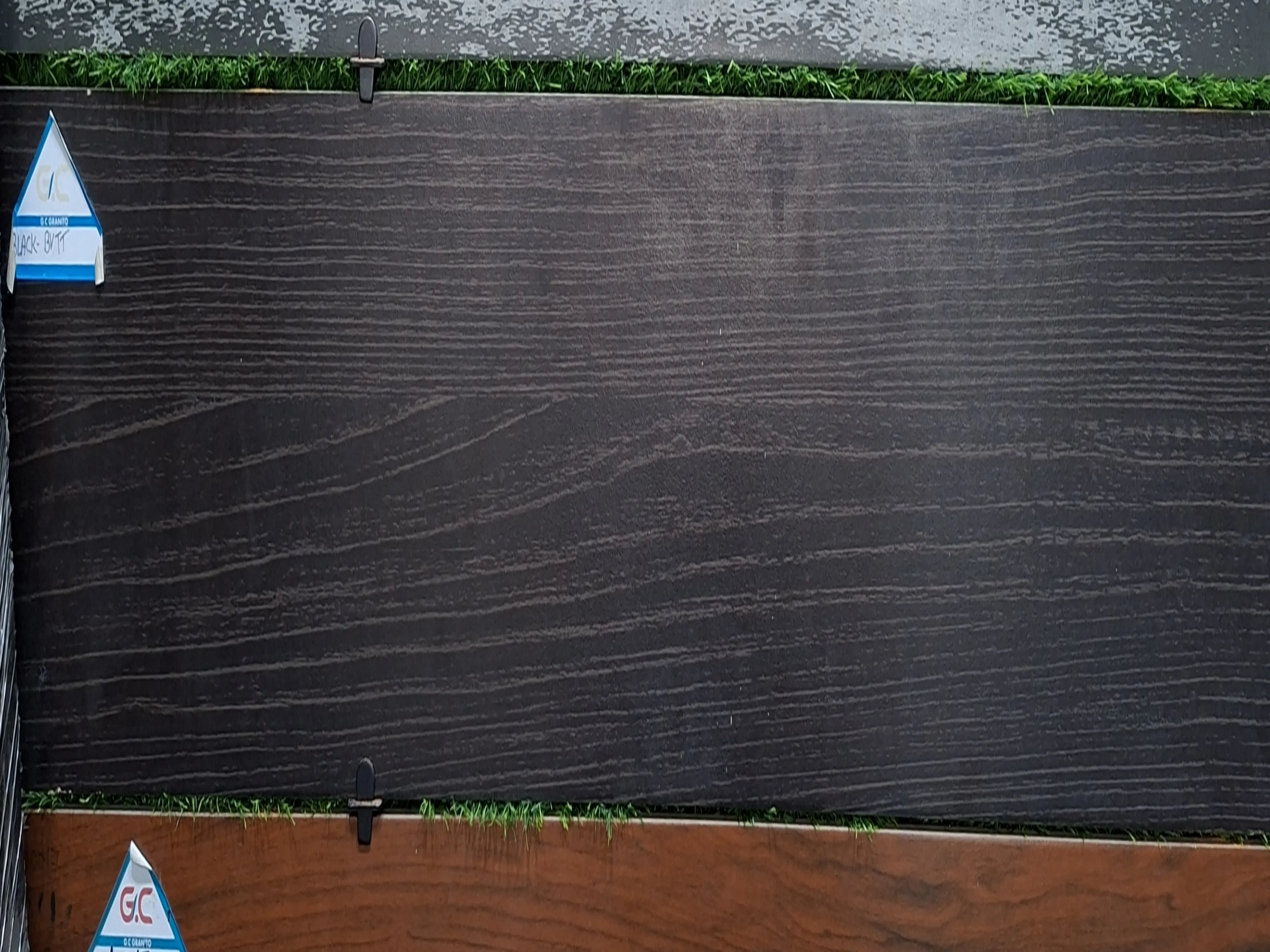 Black BVTT view 2