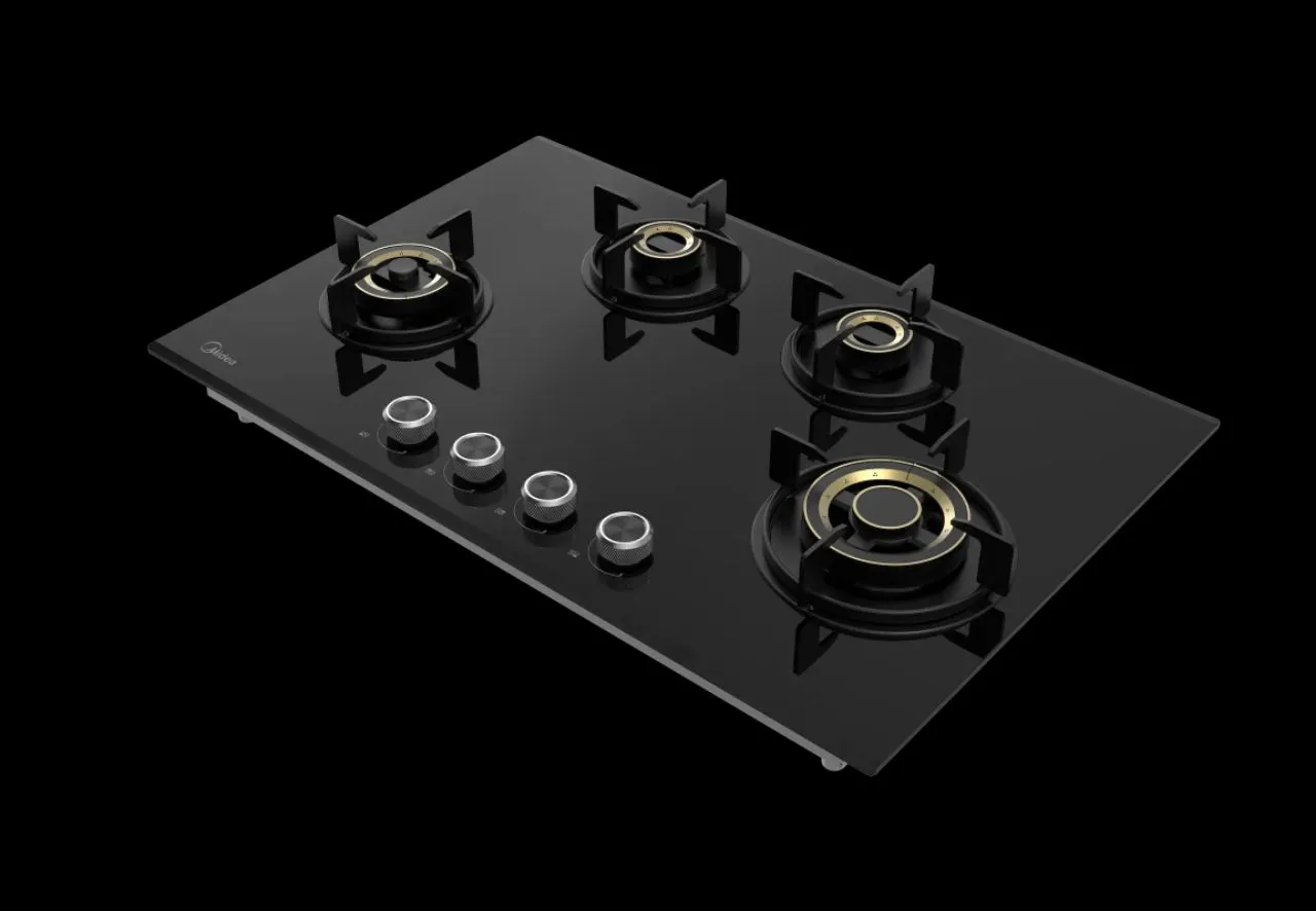 Built-in Hobs view 2