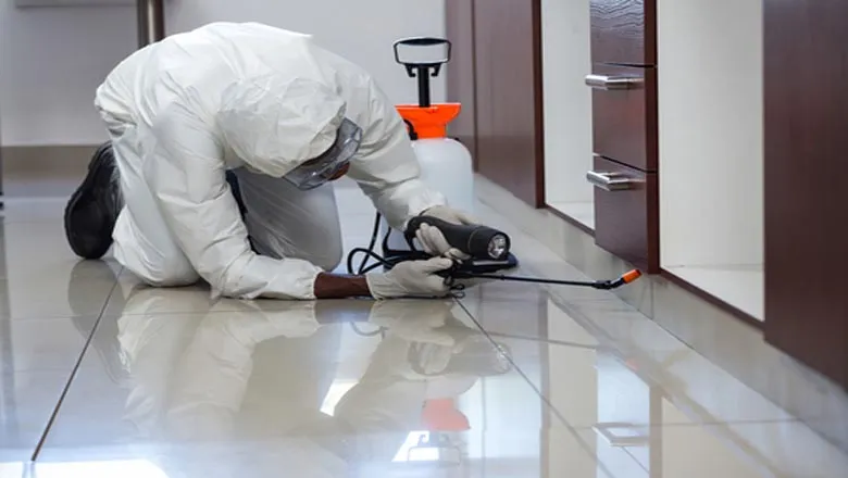 Bungalow Termite Control 4000-5000 sq. ft.