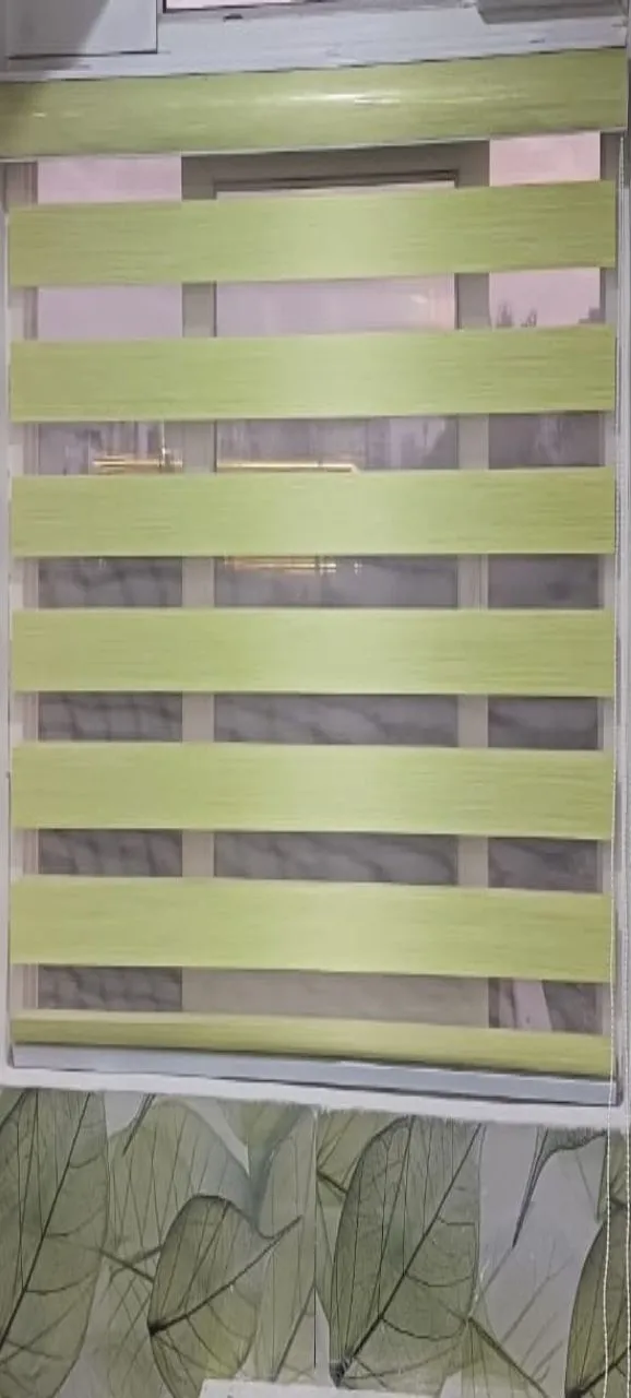 Green Window Blinds view 3