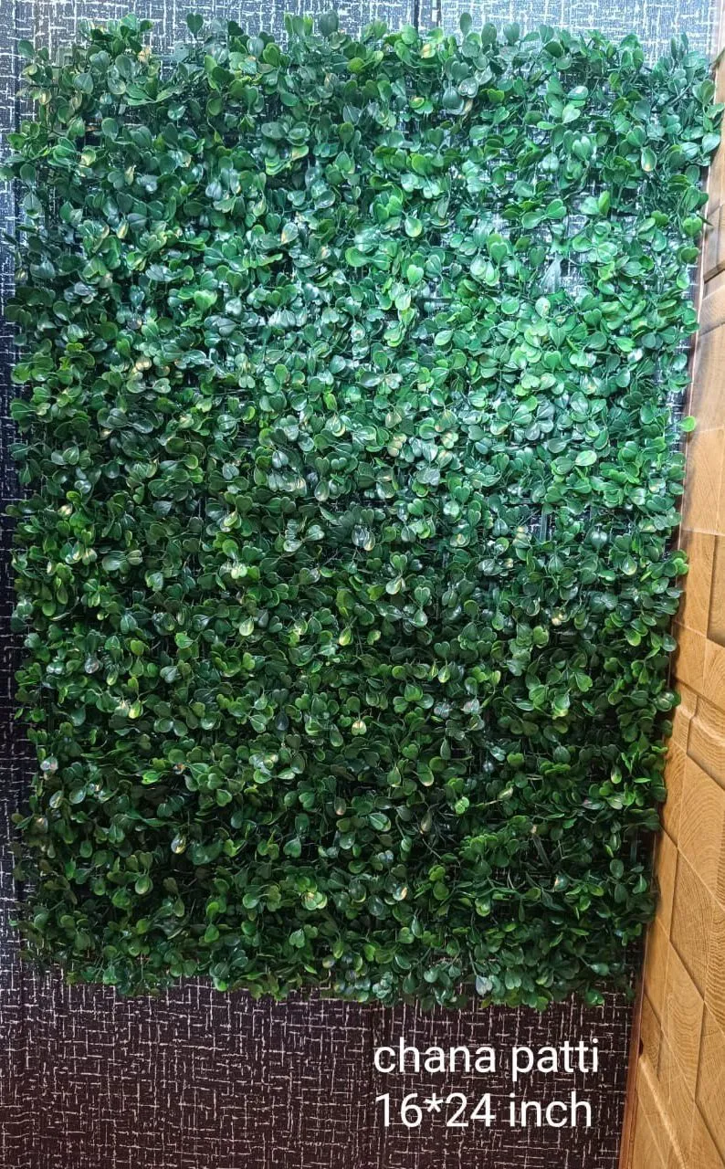 Chana Patti Vertical Green Garden view 3