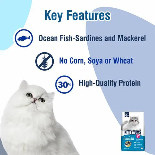 Kitty Yums Dry Cat Food - Persian, Ocean Fish like Sardines & Mackerel 50 g view 6
